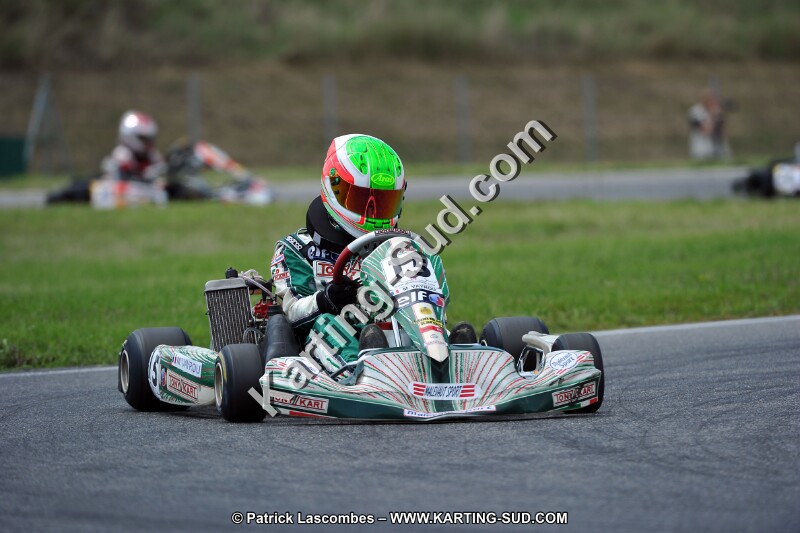 DSC_ (476).jpg